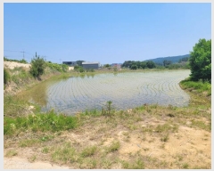  2024Ÿ��32274  ����