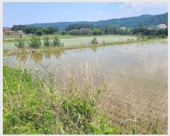  2024Ÿ��32274  ����