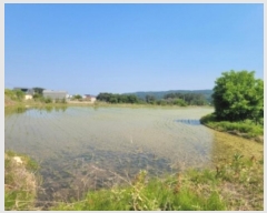  2024Ÿ��32274  ����