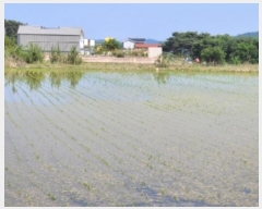  2024Ÿ��32274  ����