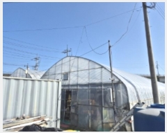  2024Ÿ��36467 ��� ���׽� �ϱ� �۶�� ��õ�� 410     ����(��)���