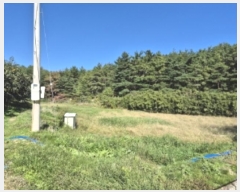  2024Ÿ��36467 ��� ���׽� �ϱ� �۶�� ��õ�� 410     ����(��)���