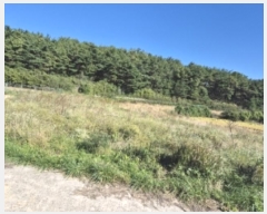  2024Ÿ��36467 ��� ���׽� �ϱ� �۶�� ��õ�� 410     ����(��)���