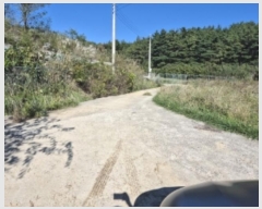  2024Ÿ��36467 ��� ���׽� �ϱ� �۶�� ��õ�� 410     ����(��)���