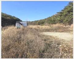  2024Ÿ37309  ׽ ϱ ûϸ  537     ()