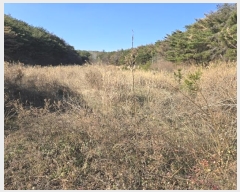  2024Ÿ37309  ׽ ϱ ûϸ  537     ()