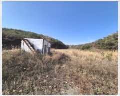  2024Ÿ37309  ׽ ϱ ûϸ  537     ()