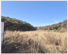  2024Ÿ37309  ׽ ϱ ûϸ  537     ()