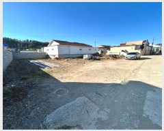  2024Ÿ37507  ׽ ϱ  ϼ۸ 298-1     ()