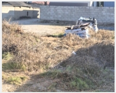  2024Ÿ37507  ׽ ϱ  ϼ۸ 298-1     ()