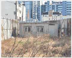  2024Ÿ��37552  â���������