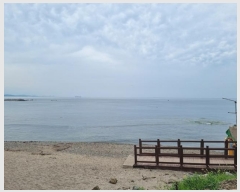  2024Ÿ2013  ׽  ظ 긮 215     (ķ)