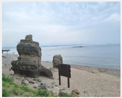  2024Ÿ2013  ׽  ظ 긮 215     (ķ)