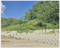  2024Ÿ3160  ׽  ﵿ 1836      