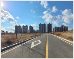  2024Ÿ3993  ׽ ϱ  ø 1258     ()