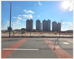  2024Ÿ3993  ׽ ϱ  ø 1258     ()