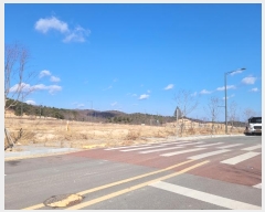  2024Ÿ3993  ׽ ϱ  ø 1258     ()