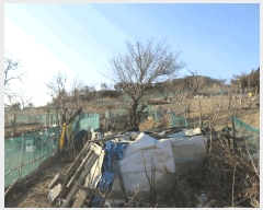  2024Ÿ4163  ׽   ¸ 23-1     (1)