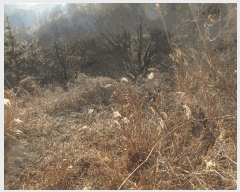  2024Ÿ4163  ׽   ¸ 23-1     (1)