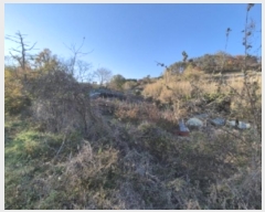  2024Ÿ4163  ׽   ¸ 23-1     (1)