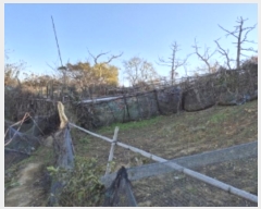  2024Ÿ4163  ׽   ¸ 23-1     (1)