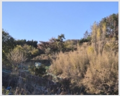  2024Ÿ4163  ׽   ¸ 23-1     (1)