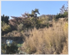  2024Ÿ4163  ׽   ¸ 23-1     (1)