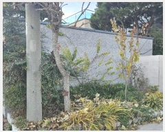  2024Ÿ4361  ׽  õ 踮 761-2     ð