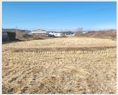  2024Ÿ��4668  ����