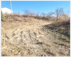  2024Ÿ��4668  ����