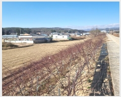  2024Ÿ��4668  ����