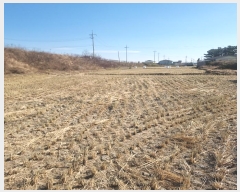  2024Ÿ��4668  ����