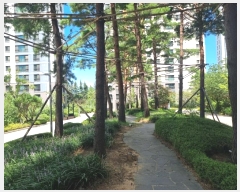  2024Ÿ��34379 ��� ���׽� ���� �󵵳��� 11, 108�� 4��403ȣ (���ᵿ,�������̾���Ʈ)   ����Ʈ���