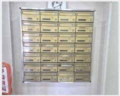  2024Ÿ34430  ׽ ϱ 241 42, 11 1105ȣ (ﵿ,3Ʈ)   Ʈ