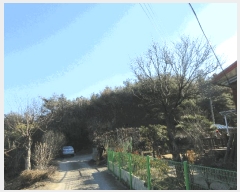  2024Ÿ35655  ׽ ϱ ű ׼ 13     (Ӿ)