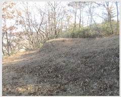  2024Ÿ35655  ׽ ϱ ű ׼ 13     (Ӿ)