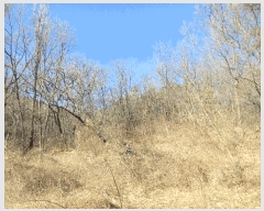  2024Ÿ35655  ׽ ϱ ű ׼ 13     (Ӿ)