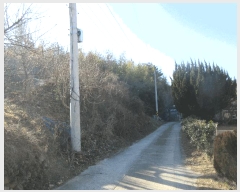  2024Ÿ35655  ׽ ϱ ű ׼ 13     (Ӿ)