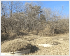  2024Ÿ35655  ׽ ϱ ű ׼ 13     (Ӿ)