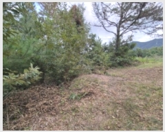  2024Ÿ35655  ׽ ϱ ű ׼ 13     (Ӿ)