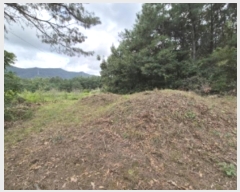  2024Ÿ35655  ׽ ϱ ű ׼ 13     (Ӿ)