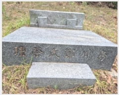  2024Ÿ35655  ׽ ϱ ű ׼ 13     (Ӿ)