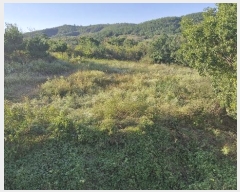  2024Ÿ36429  ׽ ϱ   187     (1)