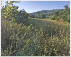  2024Ÿ36429  ׽ ϱ   187     (1)