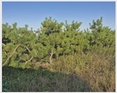  2024Ÿ36429  ׽ ϱ   187     (1)