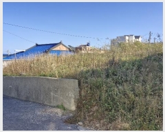  2024Ÿ36429  ׽ ϱ   187     (1)