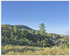  2024Ÿ36429  ׽ ϱ   187     (1)