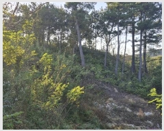  2024Ÿ36429  ׽ ϱ   187     (1)