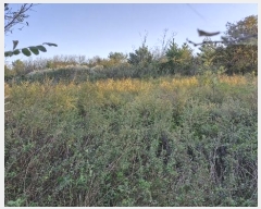  2024Ÿ36429  ׽ ϱ   187     (1)