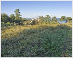  2024Ÿ36429  ׽ ϱ   187     (1)